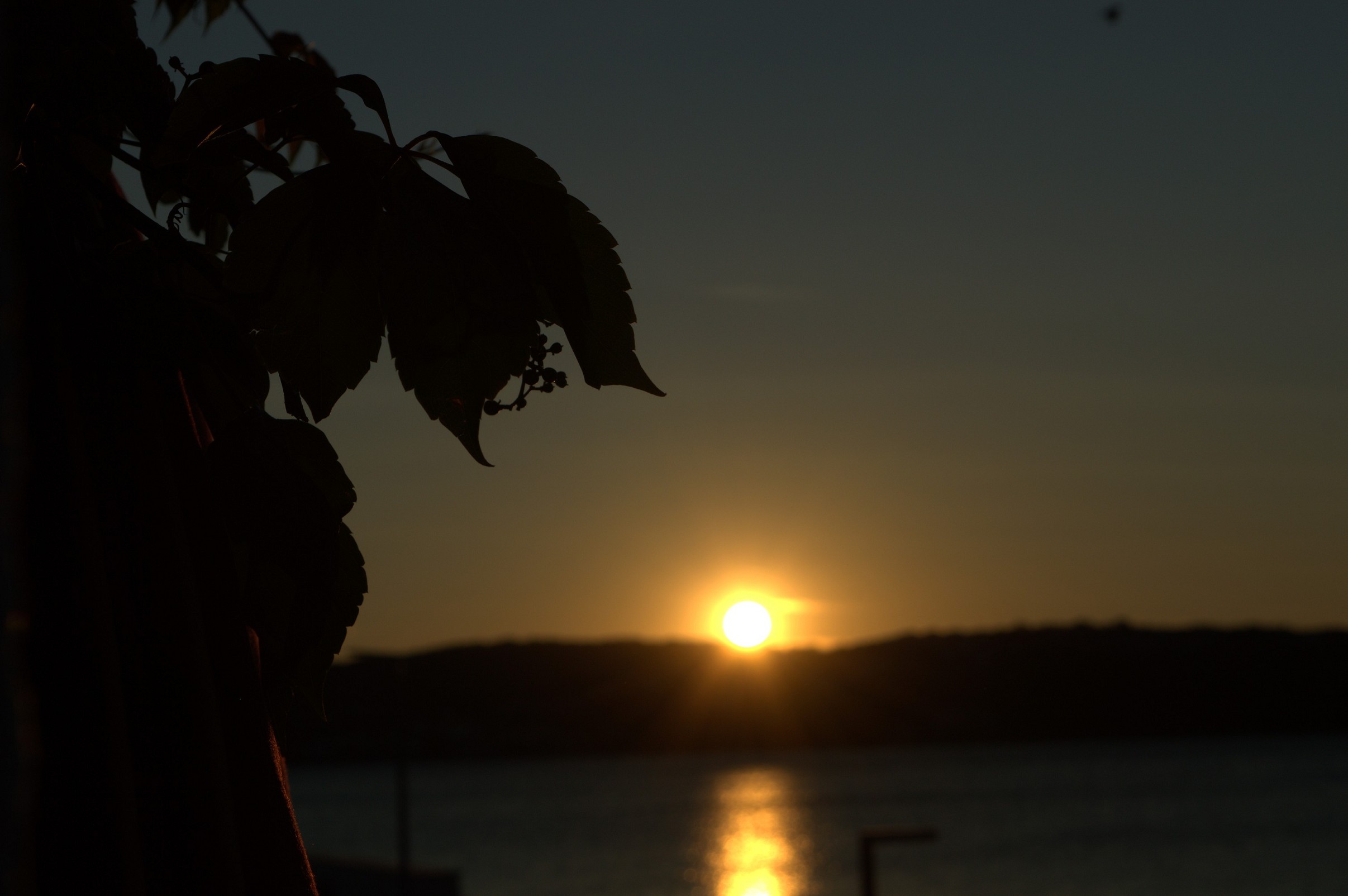 K k 112   dsc 1867   6034 x 4012